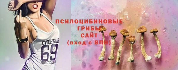 прущие крисы Верхний Тагил