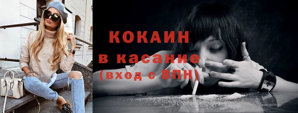 mix Бородино