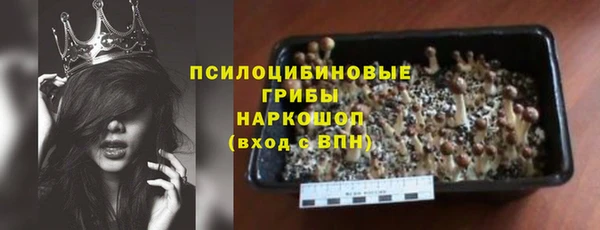 mix Бородино
