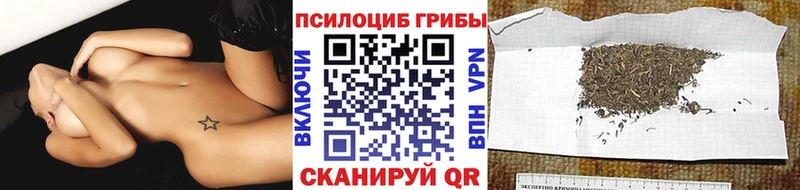 Галлюциногенные грибы GOLDEN TEACHER  Кедровый 